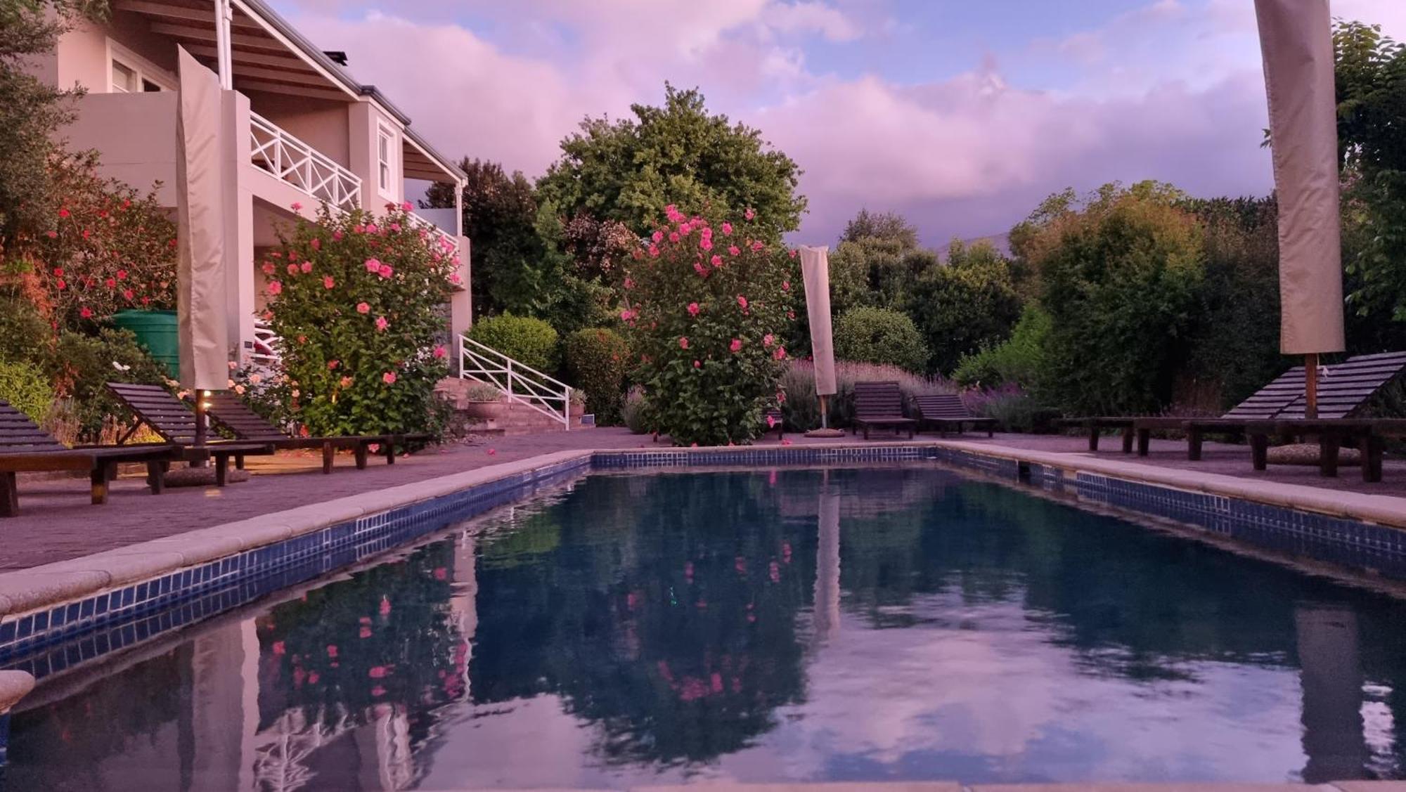 Plumwood Boutique Hotel By The Living Journey Collection Franschhoek Ngoại thất bức ảnh